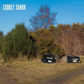 Download track Not Yet Three Cuddly Shark