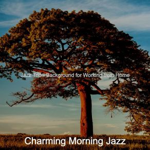 Download track Bubbly Jazz Guitar Trio - Vibe For Quiet Mornings Charming Morning Jazz