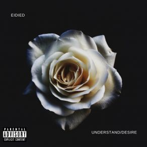 Download track Understand Eidied