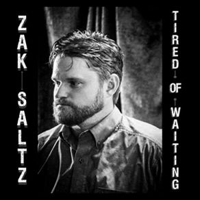 Download track Just Gotta Be Free Zak Saltz