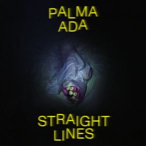 Download track Straight Lines Palma Ada