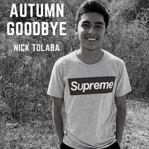 Download track I Will Still Love You Nick Tolaba