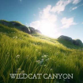 Download track Mystic Whistle Wildcat Canyon