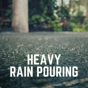 Download track Heavy City Rain, Pt. 20 Sounds Of Rain