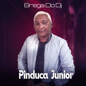 Download track Poeira Da Estrada Pinduca Junior