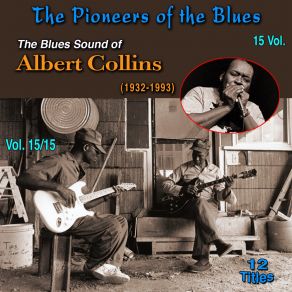 Download track Johnny B. Cool Albert Collins