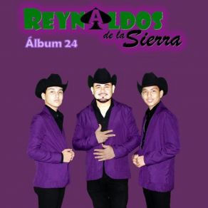 Download track Ando Tomando Los Reynaldos De La Sierra