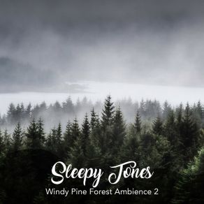 Download track Windy Pine Forest Ambience, Pt. 16 Jason Rivers