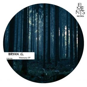 Download track Looking To The Future (Original Mix) Bryan G