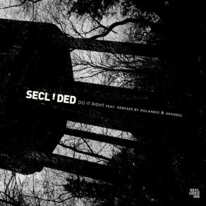 Download track Functional (Rolando Remix) Secluded