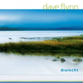 Download track Ducks (Original Demo) Dave Flynn