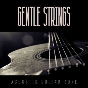 Download track Calm Instrumentals Acoustic Guitar Zone