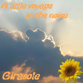 Download track Volando Sulla Foresta Pluviale Girasole