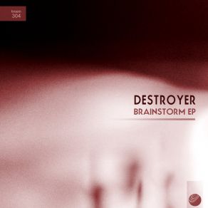 Download track Bleeps & Noises The Destroyer