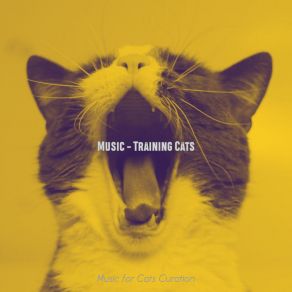 Download track Cuddly (Cats) Music For Cats CurationThe Cats