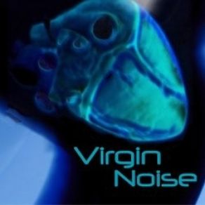 Download track Rettile Virgin Noise