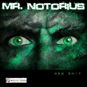 Download track Polizei Mr. Notorius