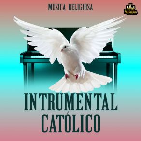 Download track Junto A Ti Maria Musica Religiosa