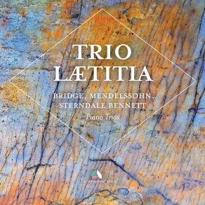 Download track Piano Trio No. 1 In D Minor, Op. 49, MWV Q 29: IV. Finale. Allegro Assai Appassionato Trio Laetitia