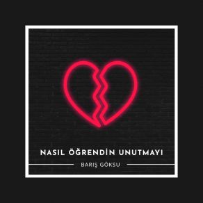 Download track Sevmeye Kıyamadığım Gülüm Barış Göksu