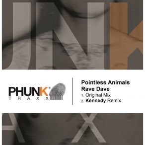 Download track Rave Dave (Kennedy Remix) Pointless Animals