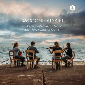 Download track 01. String Quartet No. 14 In D Minor, D. 810 Death And The Maiden I. Allegro Sacconi Quartet