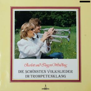 Download track Abschiedsmelodie Die Halberger Musikanten