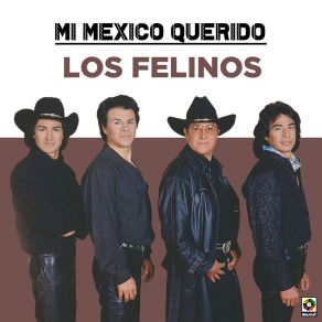 Download track No Rompas Más Mi Pobre Corazón Los Felinos