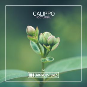 Download track Nocturnal (Instrumental Mix) Calippo