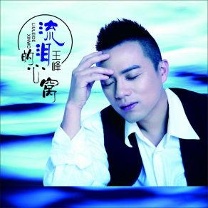 Download track 流泪的心窝 Wang Feng