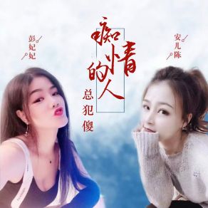 Download track 痴情的人总犯傻 (DJ可乐版伴奏) 安儿陈