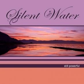 Download track Plug In SILENTWATER