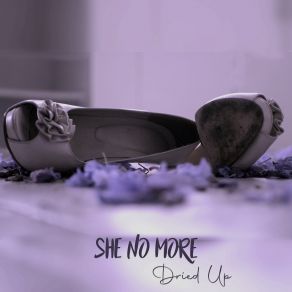 Download track Dried Up She No More