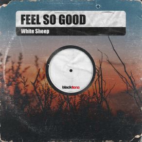 Download track Feel So Good (Extended Mix) White Sheep