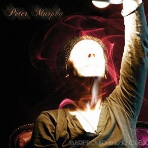 Download track Never Fall Out (Live) Peter Murphy