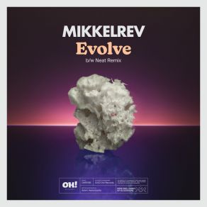 Download track Evolve Mikkelrev