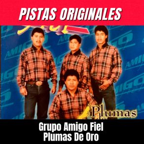 Download track Pensando En Ti (Pista) Grupo Amigo FielPista