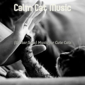 Download track Spirited Training Your Cat Calm Cat Music