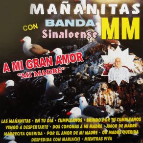 Download track Despedida Con Mariachi Banda Sinaloense MM