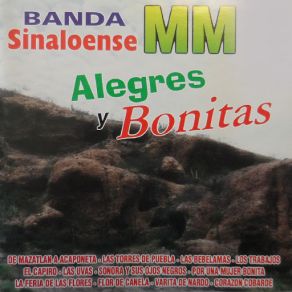 Download track Corazon Cobarde Banda Sinaloense MM