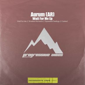 Download track Carried (Original Mix) Aurum (AR)