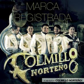 Download track Llegaste A Mi Colmillo Norteño