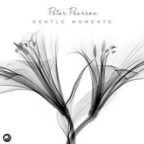 Download track Gentle Moments Peter Pearson