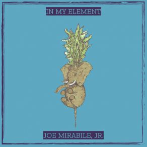 Download track Bingbong Joe Mirabile