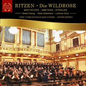 Download track Radetzky March In D Major, Op. 228 Peter Ritzen, New Cosmos Philharmonic