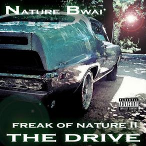 Download track Can't Stop The Nature Bwai'