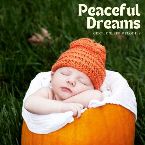 Download track Cozy Canopy Dreams Gentle Sleep Melodies