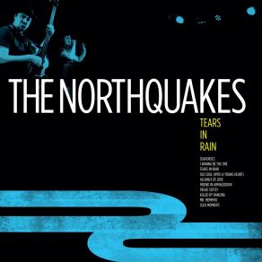 Download track This Is The Thanks I Get (Special Bonus Track) The Northquakes