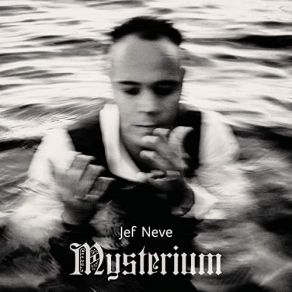 Download track Mysterium Jef Neve Trio