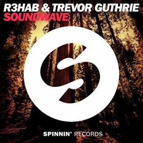 Download track Soundwave (Radio Edit) Trevor Guthrie